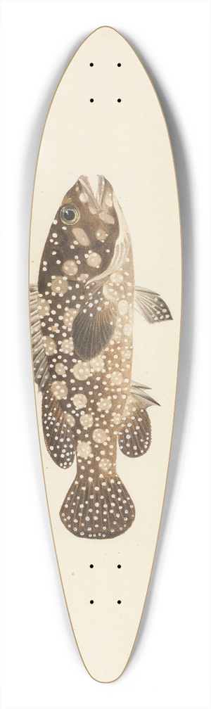 Luigi Balugani - Unidentified Fish 39.3 inch art pintail longboard deck