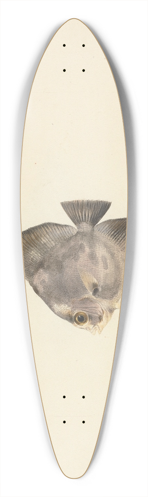 Luigi Balugani - Unidentified Fish 39.3 inch art pintail longboard deck