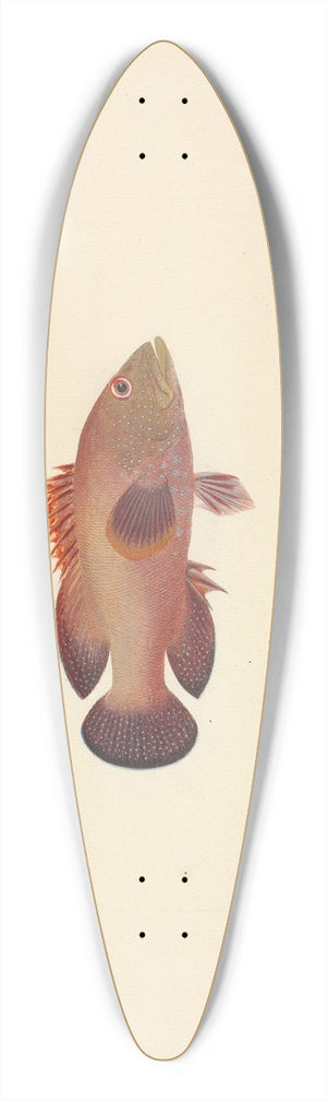 Luigi Balugani - Unidentified Fish 39.3 inch art pintail longboard deck