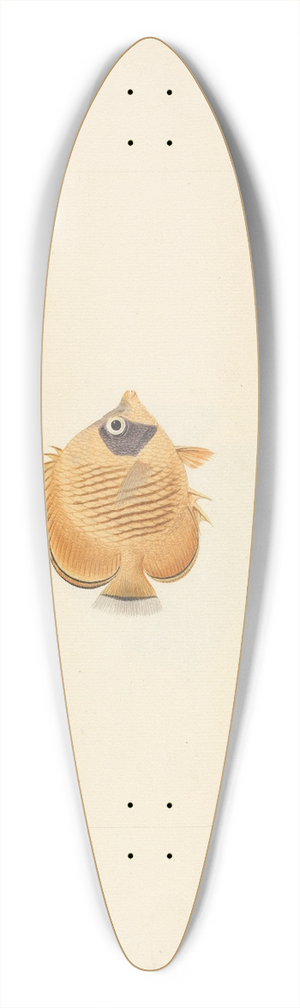Luigi Balugani - Unidentified Fish 39.3 inch art pintail longboard deck