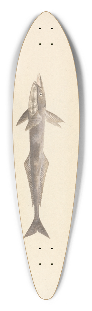 Luigi Balugani - Unidentified Fish 39.3 inch art pintail longboard deck