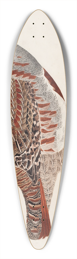 Magnus Von Wright - Grey Partridge 39.3 inch art pintail longboard deck
