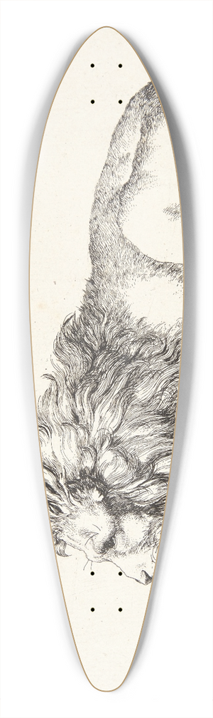 Marcus de Bye - Liggende lve 39.3 inch art pintail longboard deck