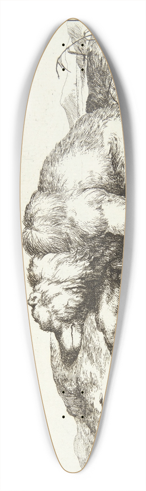Marcus de Bye - Sovende bjrn 39.3 inch art pintail longboard deck
