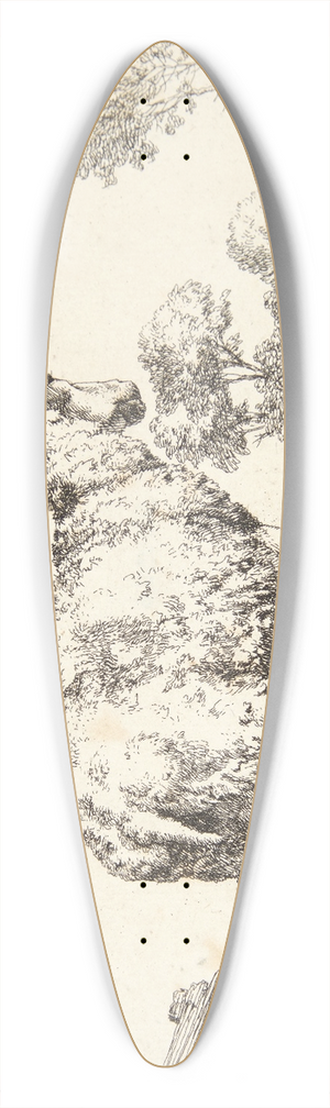 Marcus de Bye - Stende gimmer, set bagfra 39.3 inch art pintail longboard deck