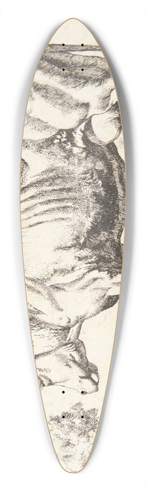 Marcus de Bye - Stende ko 39.3 inch art pintail longboard deck