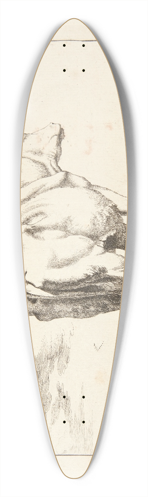 Marcus de Bye - Stende ko, set bagfra 39.3 inch art pintail longboard deck