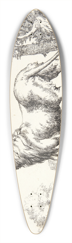 Marcus de Bye - Stende lve, set bagfra 39.3 inch art pintail longboard deck