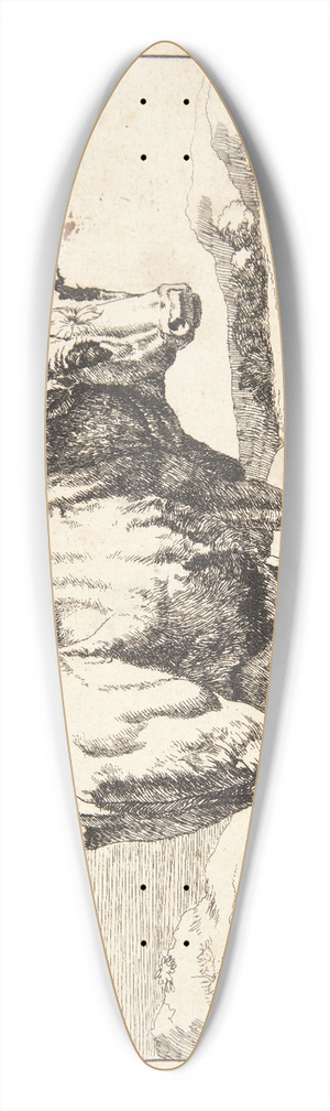 Marcus de Bye - Stende stud 39.3 inch art pintail longboard deck
