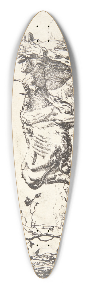 Marcus de Bye - To ker 39.3 inch art pintail longboard deck