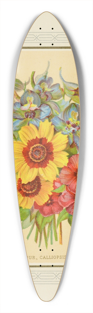 Marcus Ward & Co - Larkspur, Calliopsis, Phlox 39.3 inch art pintail longboard deck