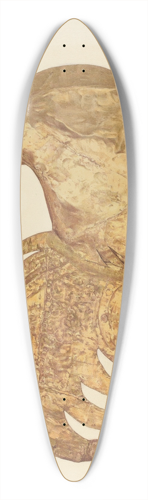 Marian Page - Weather Vane  Rooster 39.3 inch art pintail longboard deck