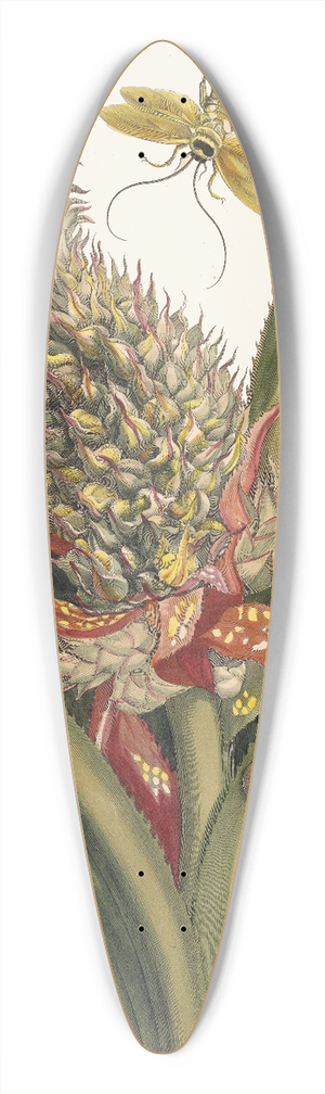 Maria Sibylla Merian - Ananas 39.3 inch art pintail longboard deck