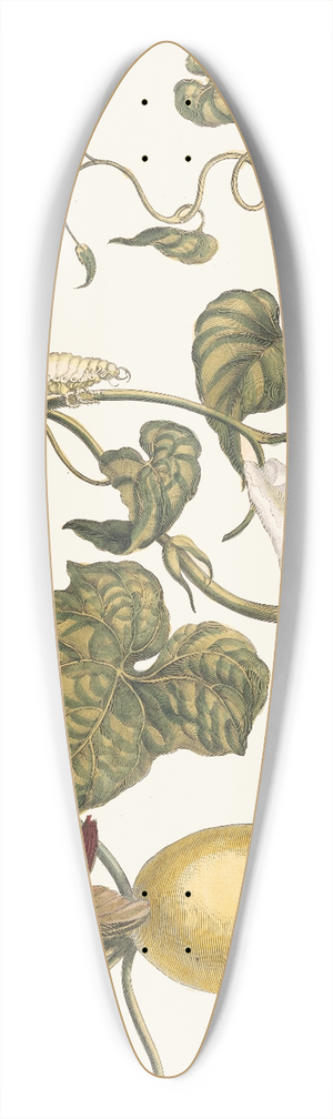 Maria Sibylla Merian - Battattes 39.3 inch art pintail longboard deck