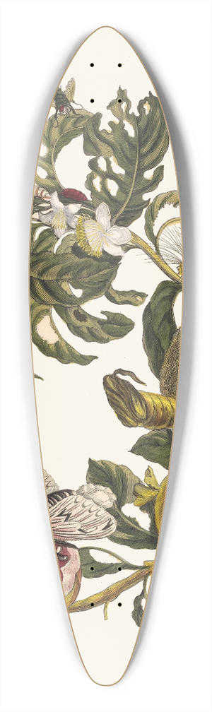 Maria Sibylla Merian - Guajaves 39.3 inch art pintail longboard deck