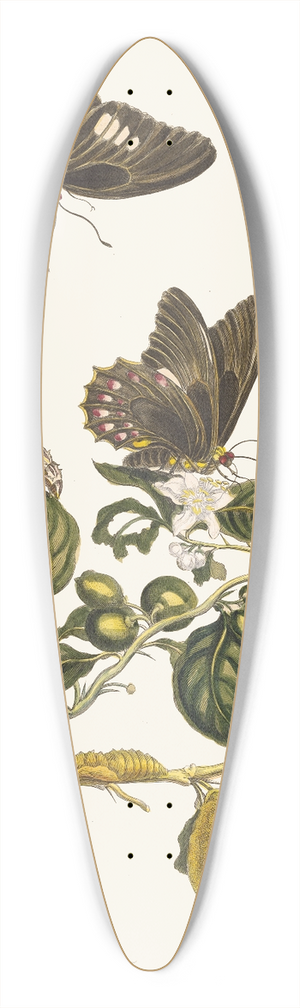 Maria Sibylla Merian - Limonier 39.3 inch art pintail longboard deck