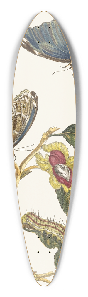 Maria Sibylla Merian - Neflier 39.3 inch art pintail longboard deck