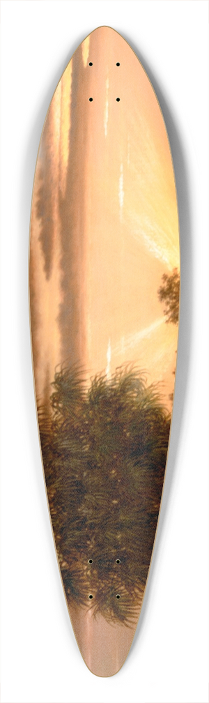 Martin Johnson Heade - Florida Sunrise 39.3 inch art pintail longboard deck