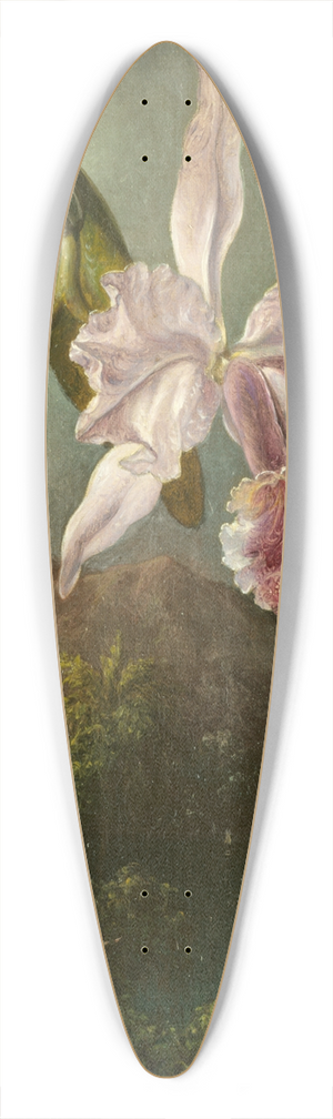 Martin Johnson Heade - Orchid Blossoms 39.3 inch art pintail longboard deck