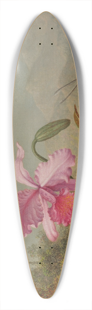Martin Johnson Heade - Orchids And Hummingbirds 39.3 inch art pintail longboard deck