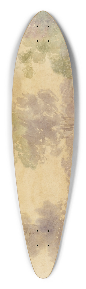 Martn Malharro - Paisaje 39.3 inch art pintail longboard deck