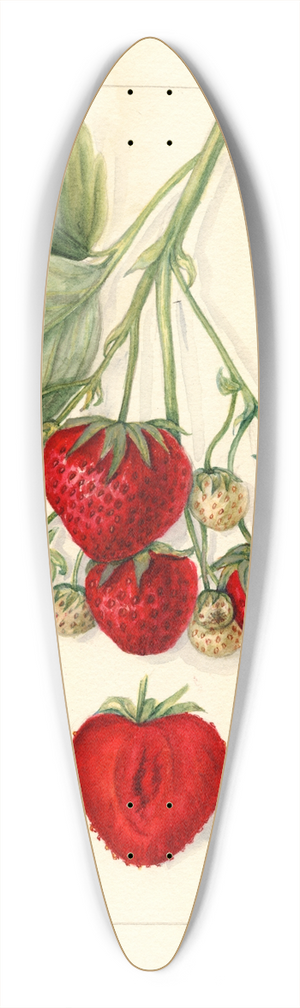 Mary Daisy Arnold - Fragaria: Texas 39.3 inch art pintail longboard deck