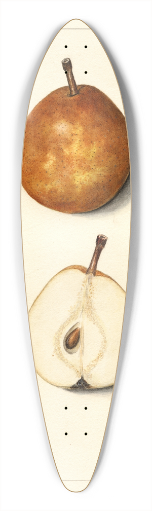 Mary Daisy Arnold - Pyrus communis: Lamartine 39.3 inch art pintail longboard deck