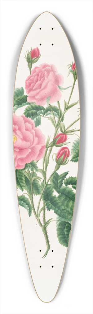 Mary Lawrance - Rosa gallica 39.3 inch art pintail longboard deck