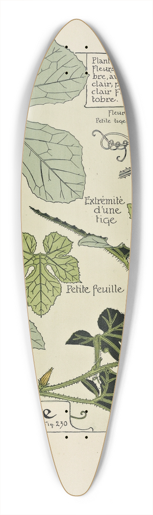 Maurice Pillard Verneuil - Coloquinte 39.3 inch art pintail longboard deck