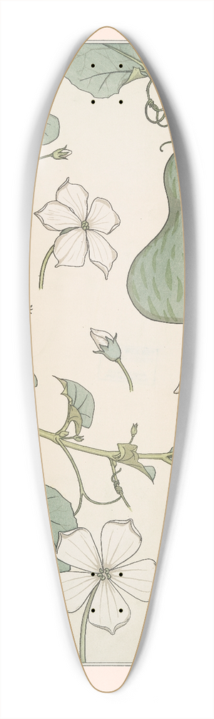 Maurice Pillard Verneuil - Courge 39.3 inch art pintail longboard deck