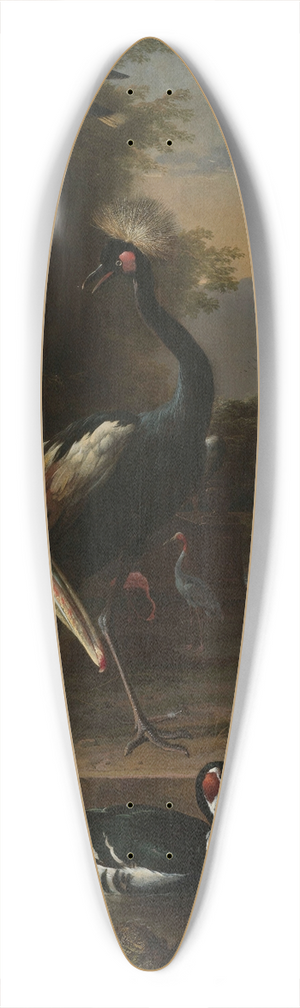 Melchior d'Hondecoeter - A Pelican and other Birds near a Pool, Known as The Floating Feather 39.3 inch art pintail longboard deck