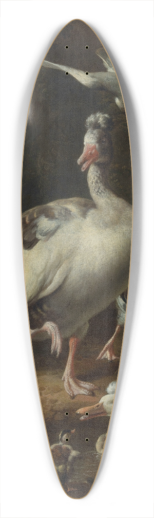 Melchior d'Hondecoeter - Birds 39.3 inch art pintail longboard deck