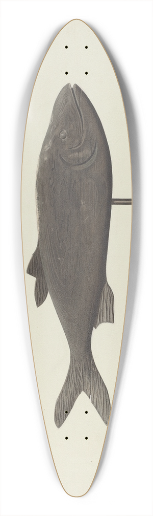 Michael Riccitelli - Fish Weather Vane 39.3 inch art pintail longboard deck