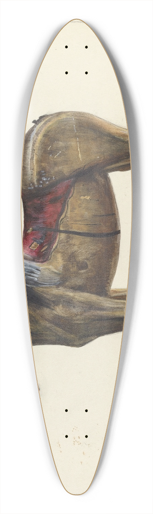 Mina Lowry - Toy Horse 39.3 inch art pintail longboard deck