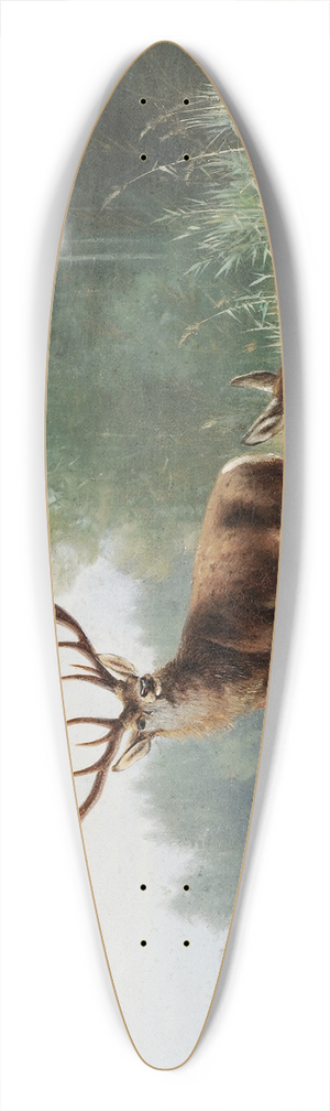 Moritz Mller - Stag at a Lake 39.3 inch art pintail longboard deck
