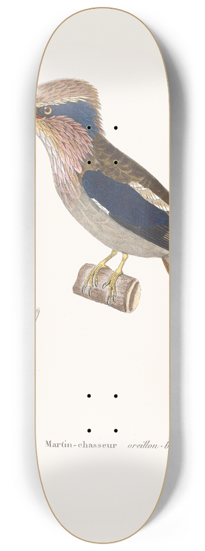 Coenraad Jacob Temminck - Martin-Chasseur Oreillon-Bleu 8.25 inch art skate deck