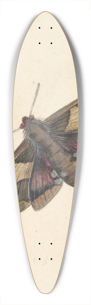 Nicolaas Struyk - A Moth 39.3 inch art pintail longboard deck