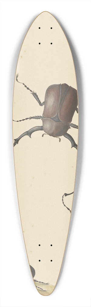 Nicolaas Struyk - Four Beetles and a Flying Stink Bug 39.3 inch art pintail longboard deck
