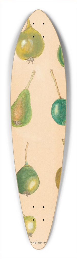 Nikolai Ivanovich Vavilov - The Wild Pears of Middle Asia 39.3 inch art pintail longboard deck