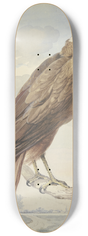 Aert Schouman - A kite 8.25 inch art skate deck