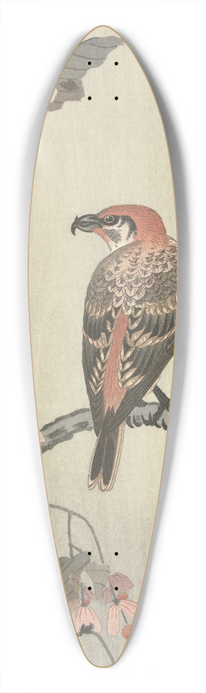 Ohara Koson - Crossbill on tree branch 39.3 inch art pintail longboard deck Ohara Koson - Crossbill on tree branch 39.3 inch art pintail longboard deck