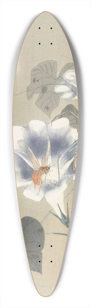 Ohara Koson - Insects at bindweed 39.3 inch art pintail longboard deck Ohara Koson - Insects at bindweed 39.3 inch art pintail longboard deck
