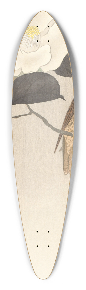 Ohara Koson - Songbird and flowering camellia 39.3 inch art pintail longboard deck Ohara Koson - Songbird and flowering camellia 39.3 inch art pintail longboard deck
