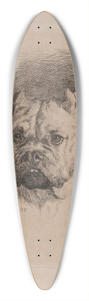 Otto Bache - Et hundehoved 39.3 inch art pintail longboard deck