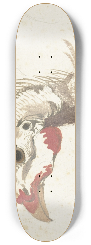 Aert Schouman - Head of a Helmeted Guineafowl 8.25 inch art skate deck Aert Schouman - Head of a Helmeted Guineafowl 8.25 inch art skate deck