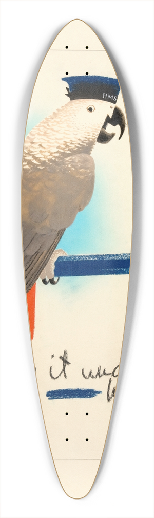Pat Keely - Keep it under your  hat 39.3 inch art pintail longboard deck
