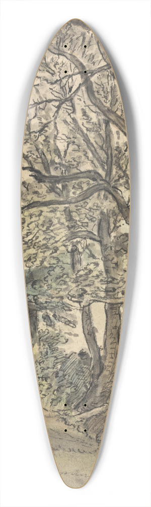 Patrick Nasmyth - Part of Regents Park 39.3 inch art pintail longboard deck