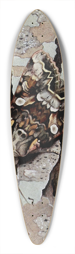 Paul-Andre Robert - La Contigue 39.3 inch art pintail longboard deck