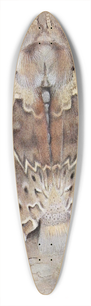 Paul-Andre Robert - La Harpye du Htre 39.3 inch art pintail longboard deck