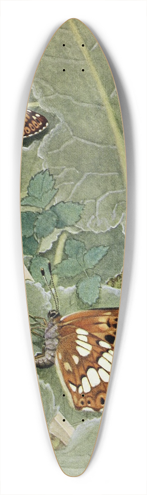 Paul-Andre Robert - La Lucine 39.3 inch art pintail longboard deck